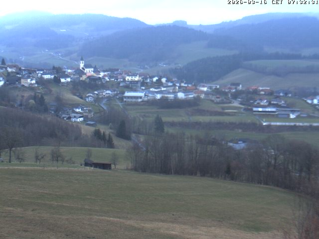 Camera Live Image