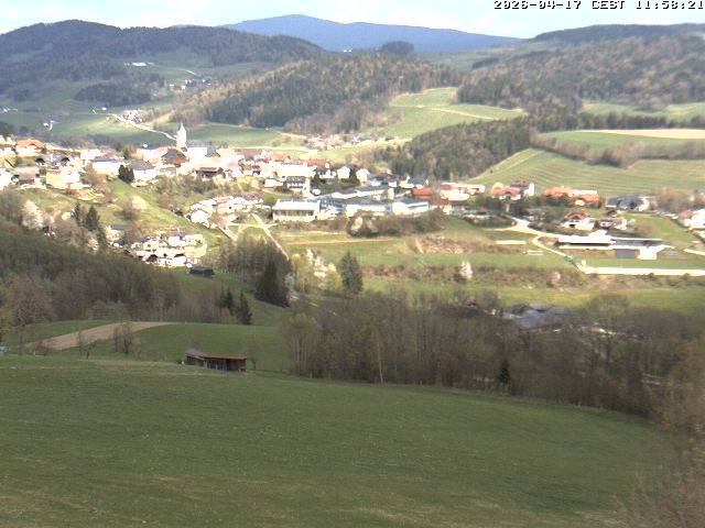 Camera Live Image